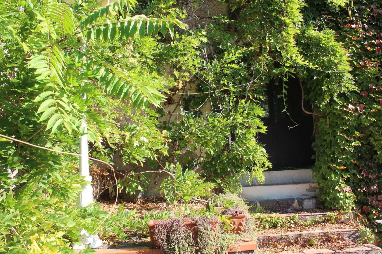 Il Giardino Dei Lucchesi - Country Houses Villa Aci Catena Eksteriør bilde