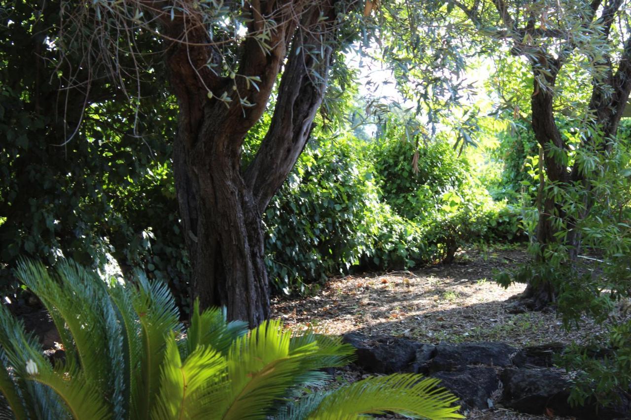 Il Giardino Dei Lucchesi - Country Houses Villa Aci Catena Eksteriør bilde